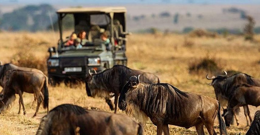 Serengeti migration safari